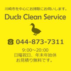 Duck Clean service